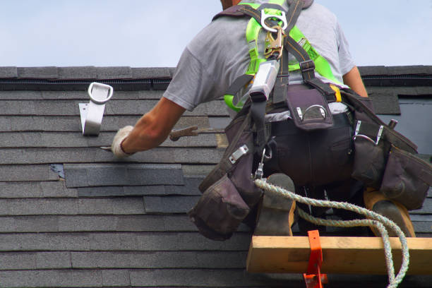 Best Residential Roofing Contractor  in Nappanee, IN