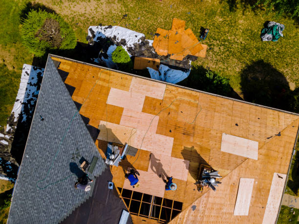 Best Residential Roofing Contractor  in Nappanee, IN