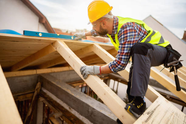 Best Roof Gutter Cleaning  in Nappanee, IN